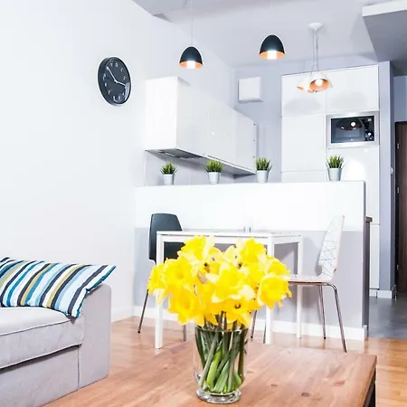 Center Ilumino وودج