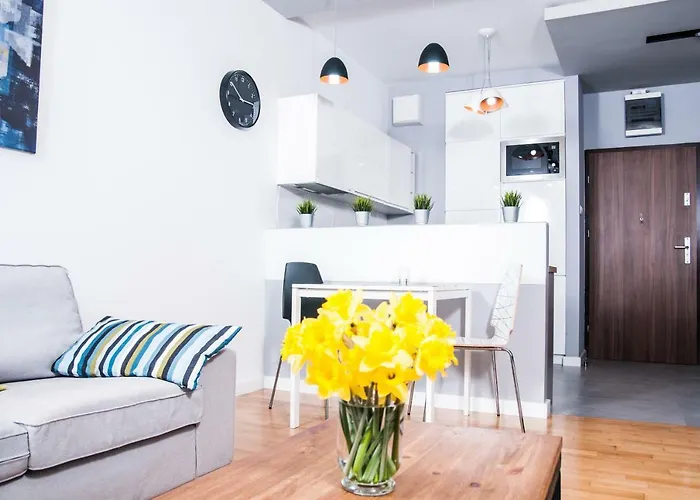 Center Ilumino وودج