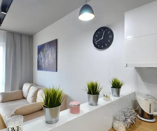 Center Ilumino وودج